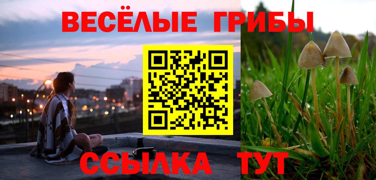 хочу   Вход с VPN  Богородицк  Галлюциногенные грибы Psilocybine cubensis 